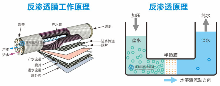 成品人视频免费看100部