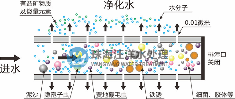 成品人视频免费看100部